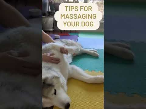 Qu’est-ce que le massage tantrique ? 7 façons de l'essayer à la maison